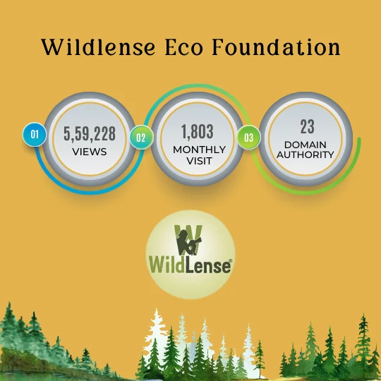 Wildlense Eco Foundation case study outcomes for visibility, website visits, and domain authority